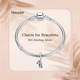 HAEPIAR S925 Sterling Silver Christmas Charm for Bracelet Necklace Charm Dangle Christmas Sleigh for Women Girls Birthday Gifts, Cubic Zirconia