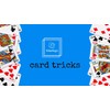 MilesMagic Dream Queen Magic Trick | Magician’s Mentalism Illusion Card