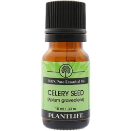 Plantlife Celery Aromatherapy Essential Oil - Straight from The Plant 100% Pure Therapeutic Grade - No Additives or Fillers - 10 ml