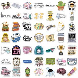 100Pcs Sarcastic Stickers for Adults, Snarky Meme & Funny Stickers Pack for Water Bottles, Laptop, Gifts for Women & Men (100Pcs Snarky Stickers)