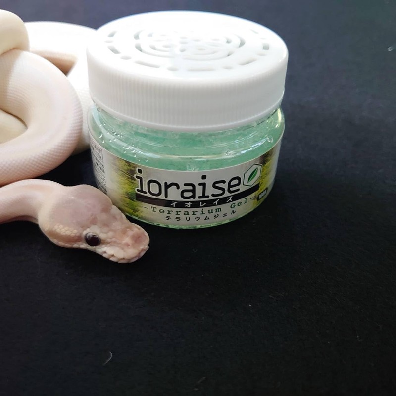 [Set of 3] Ioreze Terrarium Gel 3.5 oz (100 g)