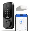 DESLOC B200WiFi-Version Smart Lock, keyless Entry Door Lock