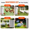 Eggluuz Chicken Waterer Cups, 6 Pack Automatic Chickens Water Cups
