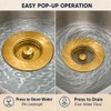 Snailhouse Sink Drain Strainer, 3 in 1 Kitchen Stainless Steel