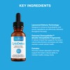 CytoDetox Liposomal Zeolite Clinoptilolite with Fulvates - Supports Cellular Detox