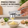 3 Pack Silver Zinc Alloy Garlic Press Manual Garlic Crusher