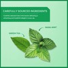 Wissotzky Nana Mint Green Tea, 20 Tea Bags | Antioxidant