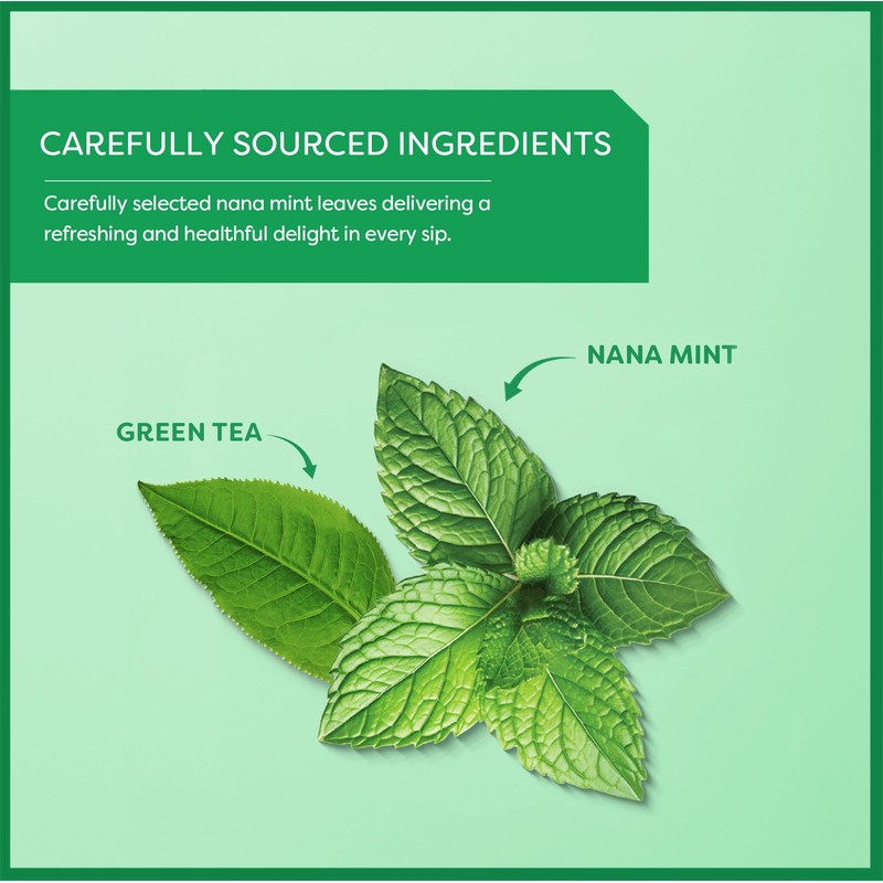 Wissotzky Nana Mint Green Tea, 20 Tea Bags | Antioxidant