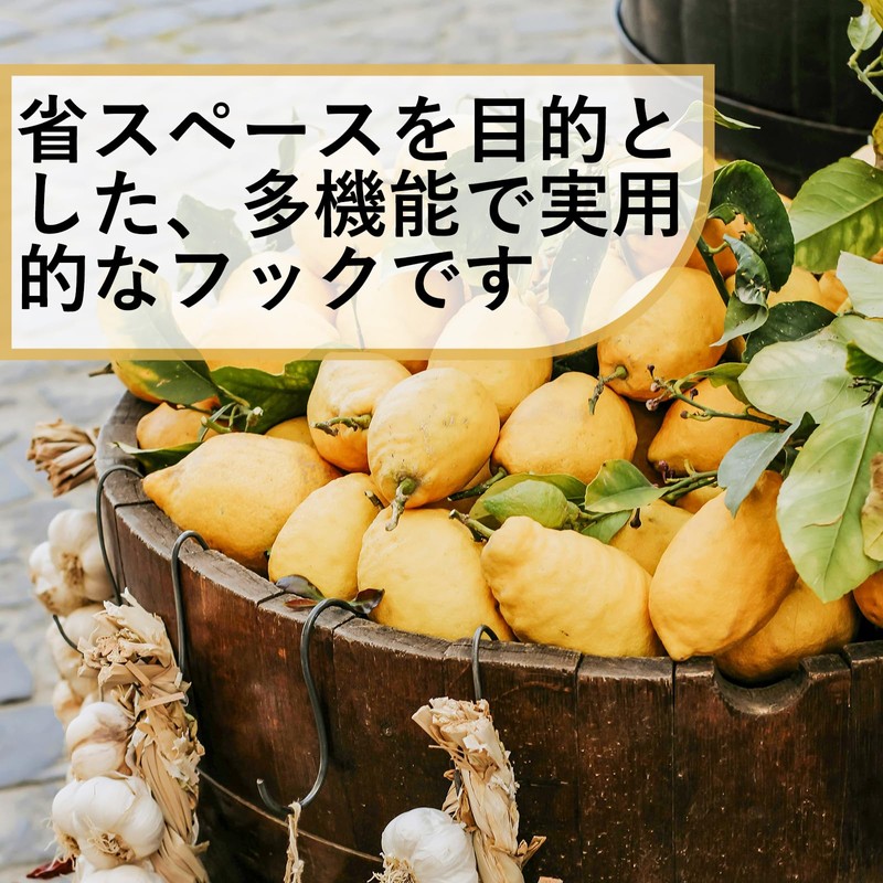 Shu Tech S-shaped Hook (Black, 9cm*10)