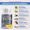 Does not apply Sea Moss 3000Mg Black Seed Oil 2000Mg