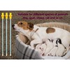 10 Set AI Artificial Insemination Dog Breeding Kit, Canine Breeding