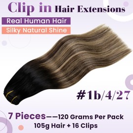 LaaVoo Clip In Hair Extensions Real Human Hair Extensions Clip In 7pcs 120g 20 Inch - Balayage Natural Black to Dark Brown & Caramel Blonde Remy Straight Clip-in Human Extensions Double Weft #1b/4/27