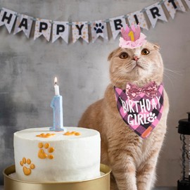 ADOGGYGO Cat Birthday Party Supplies, Birthday Girl Plaid Cat Bandana Cute Cat Bowtie, Cat Birthday Hat with Numbers, Pet Birthday Outfit for Cat Kitten (Pink)