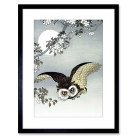 Wee Blue Coo PAINTING NATURE BIRD OWL JAPAN OHARA KOSON FRAMED PRINT F97X4201