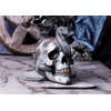Nemesis Now Serpentine Fate Skull, Grey, 19cm