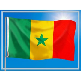 PHENO FLAGS Senegal Flag - Senegal Flag 90 x 150 cm with Brass Eyelets - Weatherproof National Flag for Flagpole - 100% Polyester
