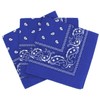 Laciteinterdite Set of 3 Paisley Bandanas for Men and Women,