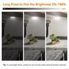 RVZONE RV Boat LED Ceiling Dome Light 12V 600LM RV