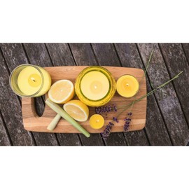 Citronella Party Lights