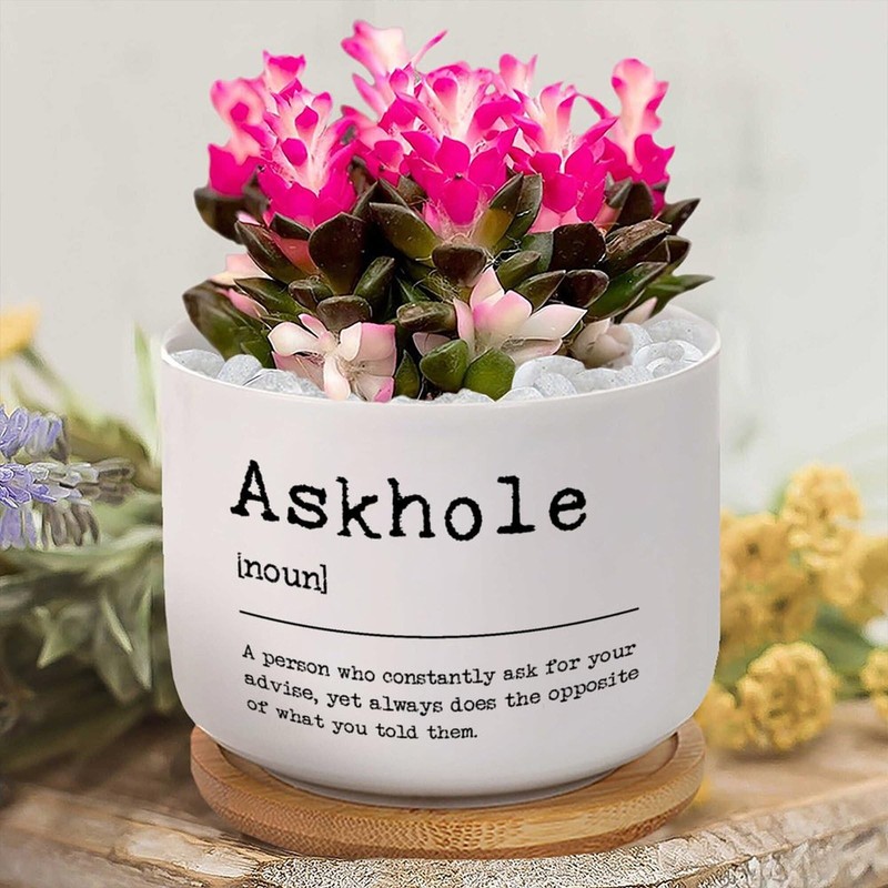 DecStic Askhole Definition Planter Ceramic Bible Verse Round Flower Pots