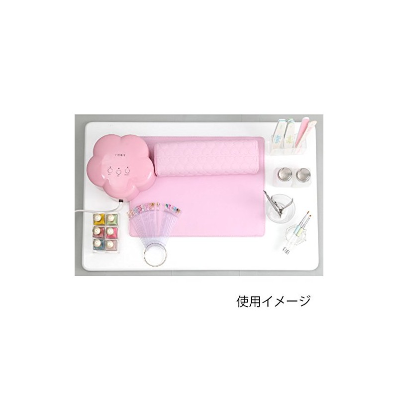 チップスティック A (50本入り) [ ネイル カラーチャート ガイドカラー スタンドチップ サンプルチップ ディスプレイ