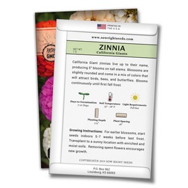 Sow Right Seeds California Giant Zinnia Seeds - Full Instructions for Planting, Beautiful to Plant in Your Flower Garden; Non-GMO Heirloom Seeds; Wonderful Gardening Gifts (4)