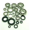 PRO MOTO SUPPLY ATC250R Engine Main Crank & Transmission Bearings & Seals Kit 1985 86 3-Wheeler