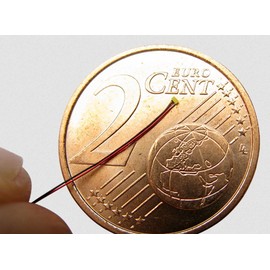 modellbahn-exklusiv SMD LED 0201 with Enamelled Copper Wire, Warm White