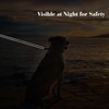 PetiFine 4FT Heavy Duty Dog Leash with Soft Padded Double