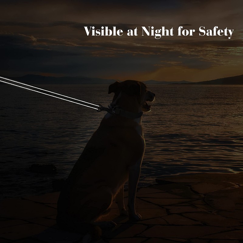PetiFine 4FT Heavy Duty Dog Leash with Soft Padded Double