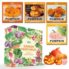 4 Varieties Pack Pumpkin Seeds - Jack O' Lantern Pumpkin, Porcelain Pink Pumpkin, Big Max Pumpkin, Jack Be Little for Your Vegetable Garden (4 Varieties)