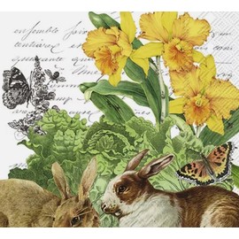 Set of 2 The Rainbow Rabbit paper napkins for decoupage and scrapbooking