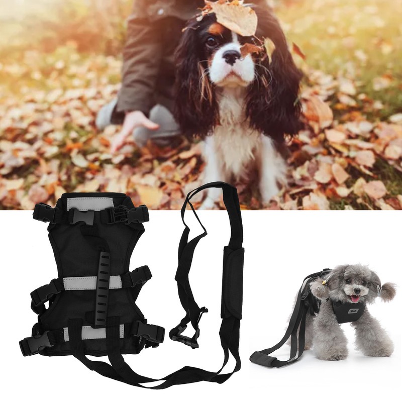 Cat Vest Harnesses Leash Adjustable Breathable Stylish Multifunctional Pet Walking