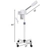 Segawe Professional Spa Beauty Equipment Facial Steamer Skin Care Ozone