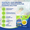 True Fresh Garbage Disposal Cleaner Powder Drop-in Sink Packets 24-Pack