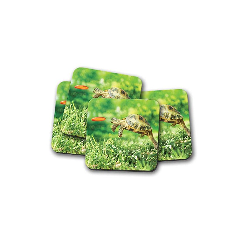 4 Set - Funny Tortoise Coaster - Turtle Pet Animal