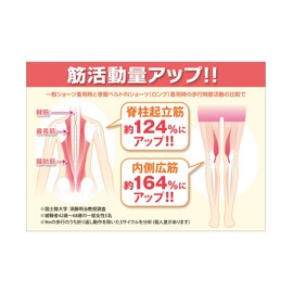 Produced by Yuka Murobushi, Pelvic Belt IN Panties, Long Type, beige