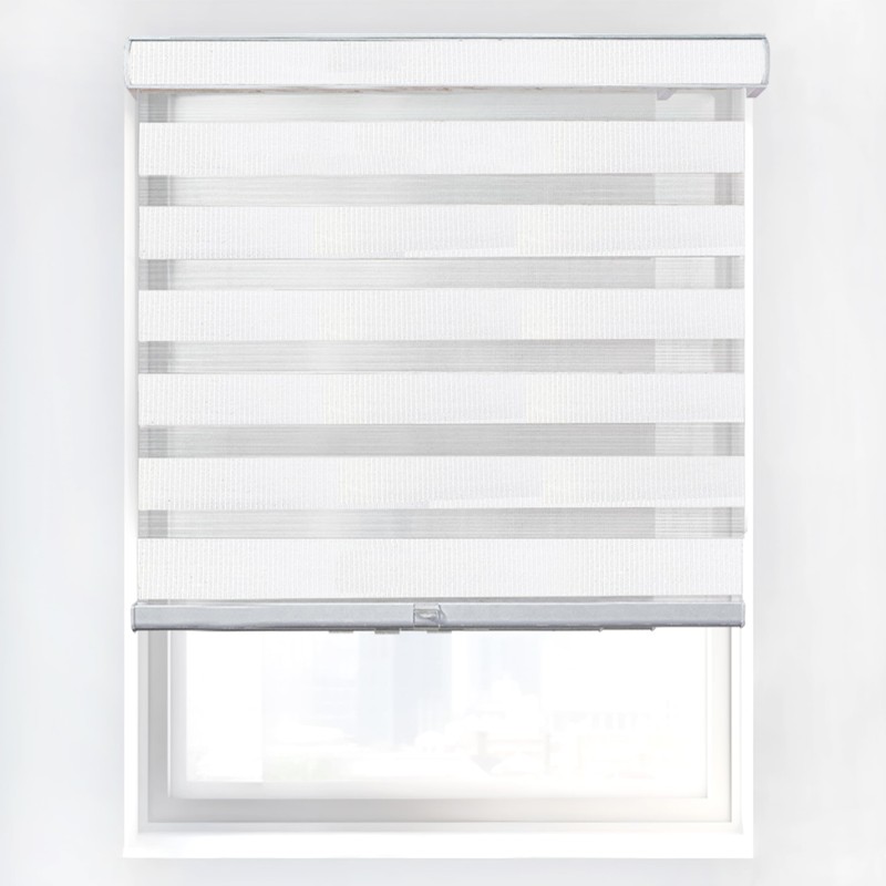 CHICOLOGY Zebra Blinds , Roller Window Shades , Blinds for