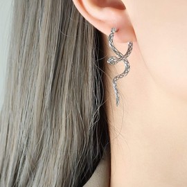 FIOROYAL Snake Earrings G23 Titanium Dangle Earrings for Women Hypoallergenic Cute Gothic Snake Vintage Animal Drop Earrings Jewelry(Silver)