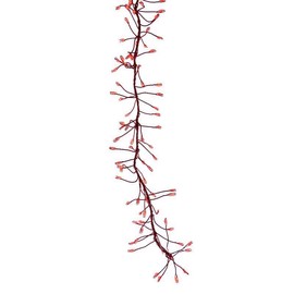 Celebrations CLSTR LED Lght RED 250CT