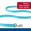 Coastal Pet Double-Ply Dog Leash - Bolt Snap Attachment to