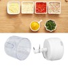Mini Electric Garlic Chopper Large Capacity Powerful Motor 304 Stainless