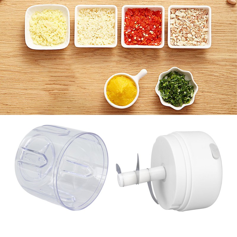 Mini Electric Garlic Chopper Large Capacity Powerful Motor 304 Stainless