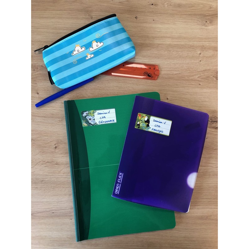 AVERY - 15 Labels for Notebook and School Supplies Fantasy