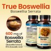 TrueMed Boswellia Serrata Extract Support Joints and Muscle 600 mg