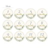 12pcs Baby Monthly Milestone Cards, Paper Photo Prop Monthly Milestone