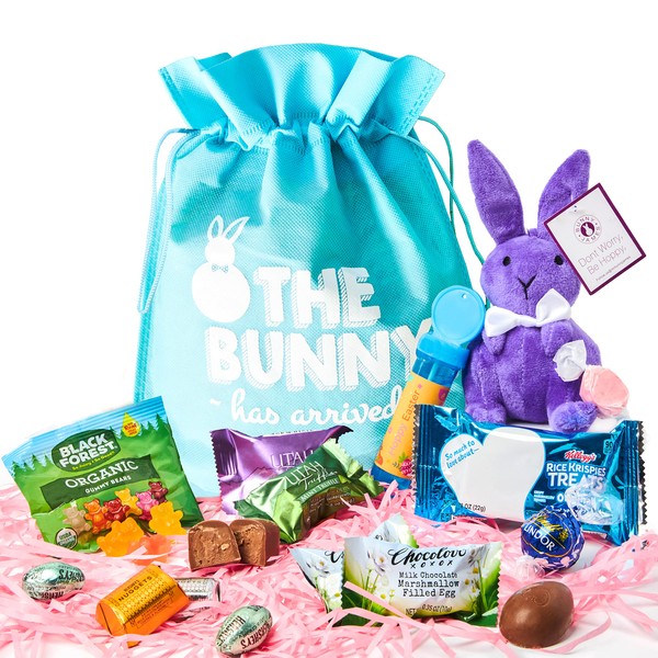 Cesta de regalo de Pascua premium: paquete de bocadillos naturales, orgánicos, saludables, dulces de Pascua y libro para colorear de Pascua, regalo perfecto para niños y adultos