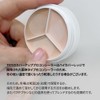TFIT Cover-Up Pro Concealer / 15g / Triple Color /
