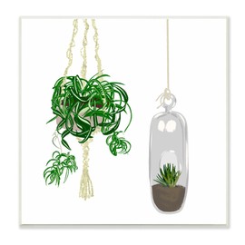 Stupell Industries Modern Indoor Potted Greenery Spider Plant Terrarium, Designed by Jen Bucheli Wall Plaque, 12 x 12, Green