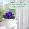 LITUDISO African Violet Pots, 6 Inch Self Watering Pots for